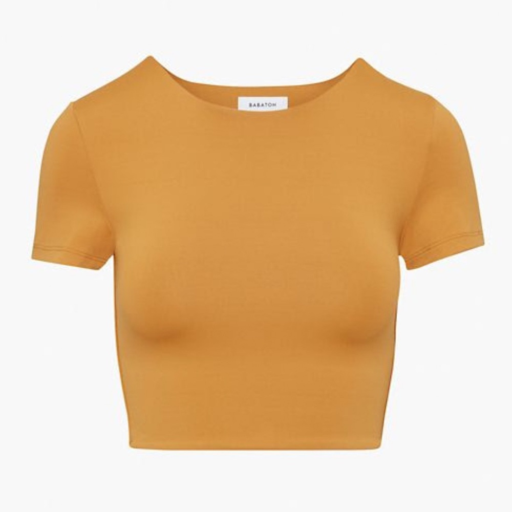Aritzia Babaton Copper Spice Crop Top